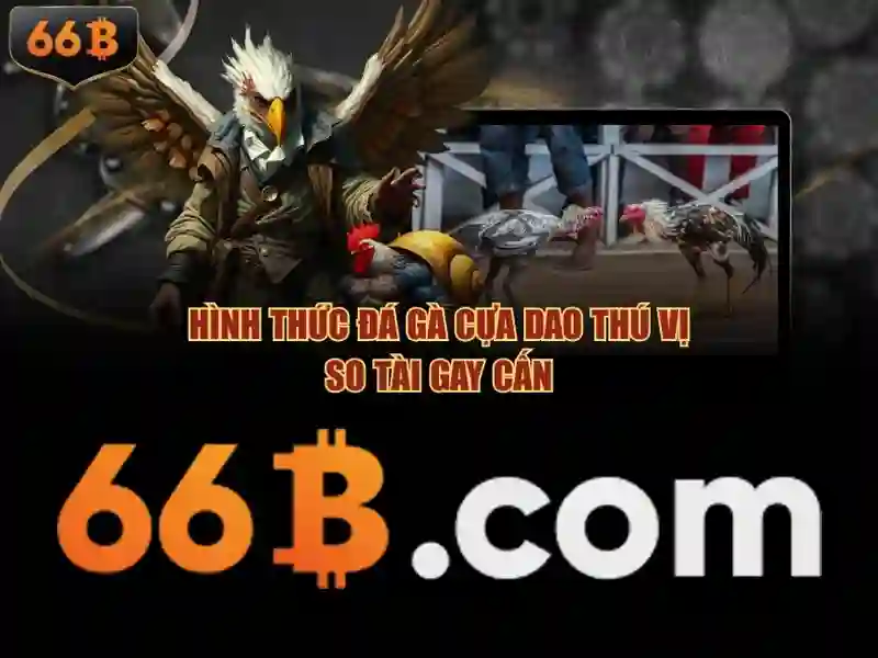 66b là gì và những điều cơ bản
