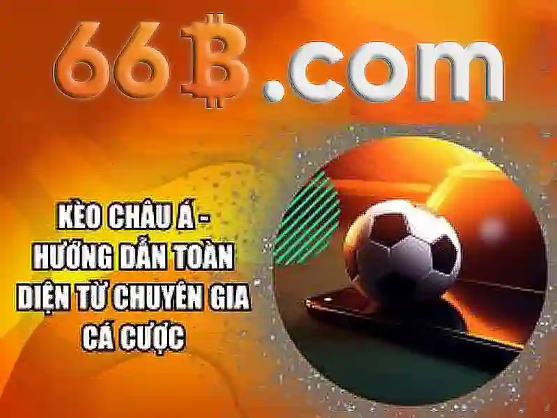 66b cmt8 – Sản phẩm và dịch vụ