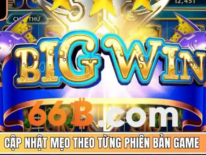 'Những điều cần lưu ý khi làm việc với 66b'<p style=