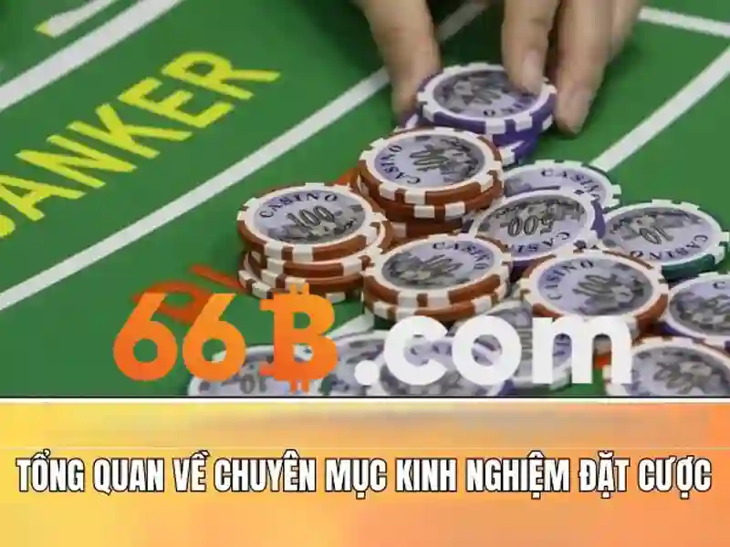 Gợi ý chọn đồ cho người có 66B
