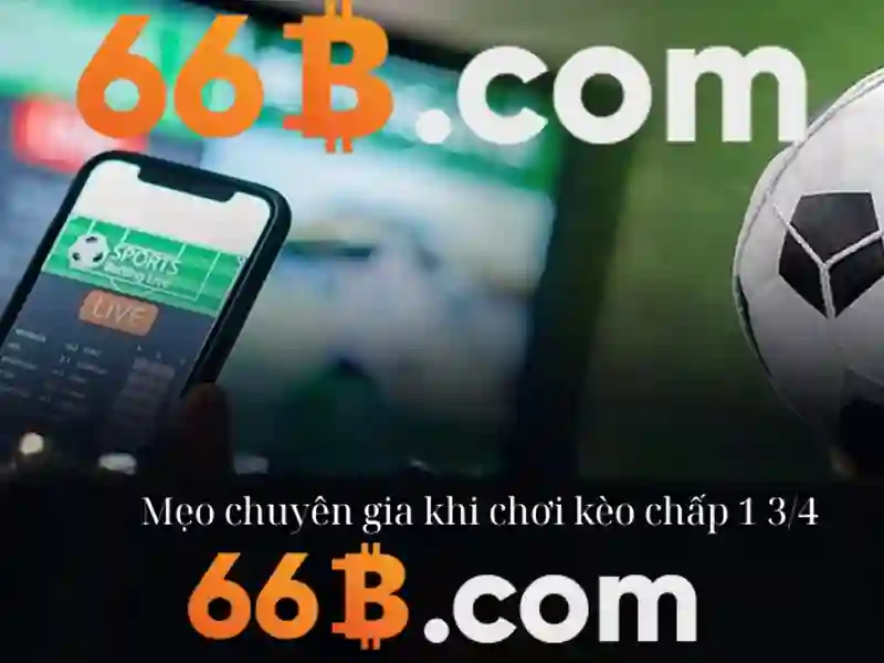 66b: Khám phá khái niệm và ứng dụng