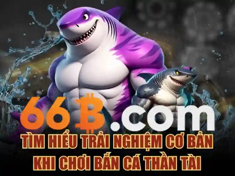 66b phường 15 quận tân bình – Tổng quan và giá trị cốt lõi