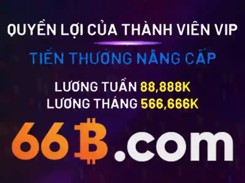 66B: Khái niệm, kích thước và thời trang