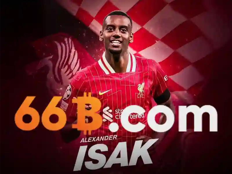 66b nss: Định vị thương hiệu và giải pháp số toàn diện